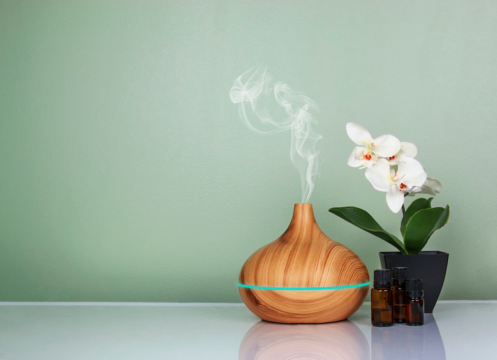 An essential oil diffuser with a plant