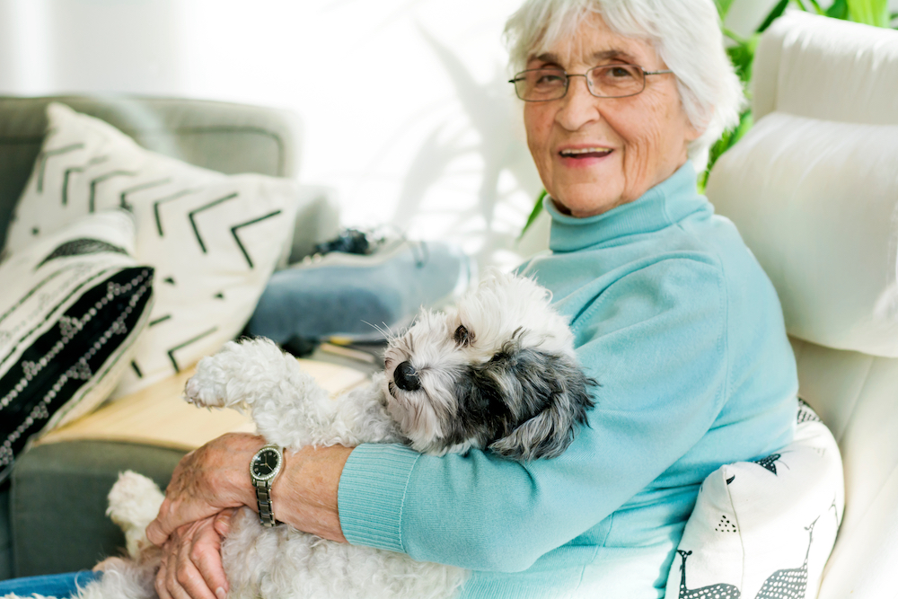 A senior woman and her dog sit on a sofa together